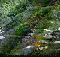 Byron Bay Rainforest Fishing - Accommodation ACT