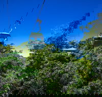 Classic Kuranda by Skyrail and Scenic Railway Including Rainforestation Koala and Wildlife Park and Pamagirri Aboriginal Experi - Accommodation ACT