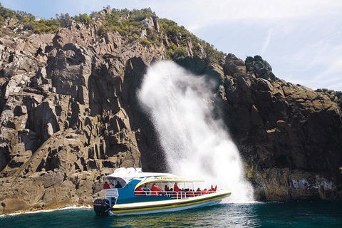 Full-Day Bruny Island Cruises Day Tour From Hobart - Accommodation ACT 4