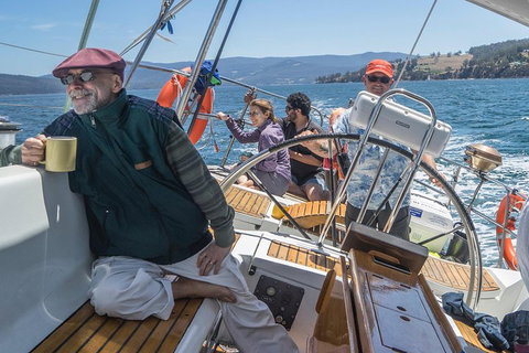 Half-Day Sailing On The Derwent River From Hobart - Accommodation ACT 2