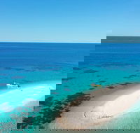 Ocean Safari Great Barrier Reef Experience in Cape Tribulation - Accommodation ACT