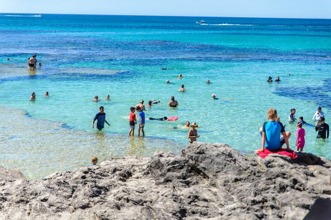 Rottnest Island Roundtrip Fast Ferry From Hillarys Boat Harbour - Accommodation ACT 1
