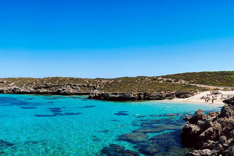 Rottnest Island Roundtrip Fast Ferry From Hillarys Boat Harbour - Accommodation ACT 4