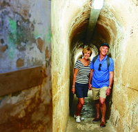 Rottnest Island Full-Day Trip With Guided Island Tour From Perth - Accommodation ACT
