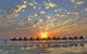 Broome City Sightseeing Tour With Optional Camel Ride - thumb 1