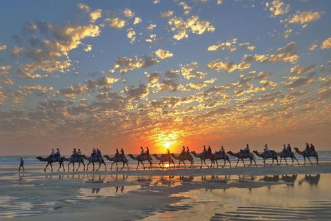 Broome City Sightseeing Tour With Optional Camel Ride - Accommodation ACT 1