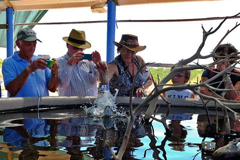 Cape Leveque 4WD Tour From Broome With Optional Return Flight - Accommodation ACT 0