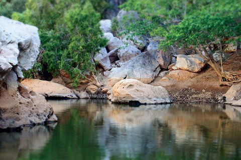 Windjana Gorge And Tunnel Creek 4WD Tour From Broome - Accommodation ACT 5
