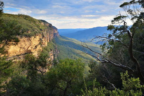 Blue Mountains Day Tour With Wildlife At Sunset From Sydney - Accommodation ACT 5