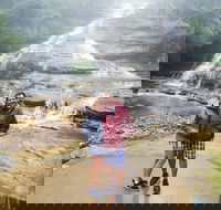Blue Mountains Day Trip from Sydney with amazing lookouts Private Tour - Accommodation ACT