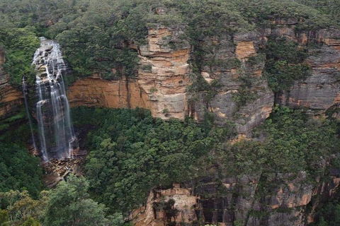Blue Mountains Private Tour With Kangaroos & Koala Encounter - Accommodation ACT 2