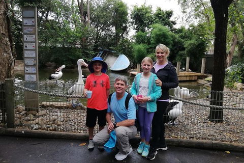 Blue Mountains Private Tour With Kangaroos & Koala Encounter - Accommodation ACT 4