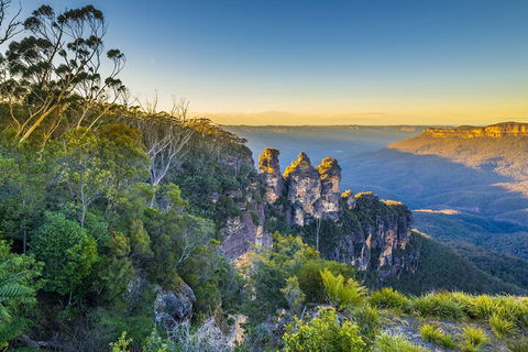 Blue Mountains Private Tour With Kangaroos & Koala Encounter - Accommodation ACT 5