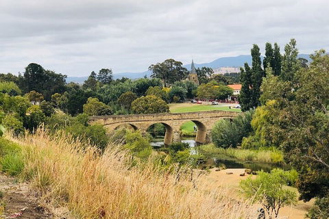 Day Tour In Mt. Field, Mt. Wellington, Bonorong Wildlife Sanctuary And Richmond - Accommodation ACT 3