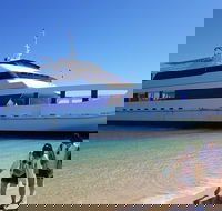 Moreton Island Day Trip Kayak Snorkel  Sandboard frm Brisbane or Gold Coast - Accommodation ACT