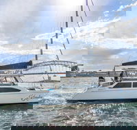 Vivid 90-Minute Sydney Harbour Catamaran Cruise with BYO Drinks - Accommodation ACT