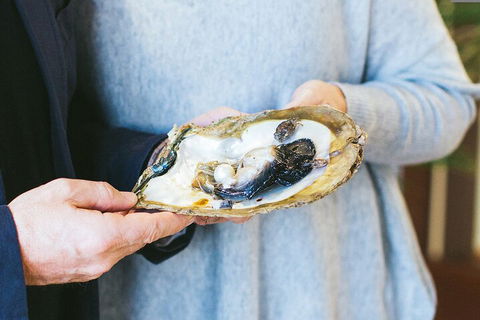 Half-Day Willie Creek Pearl Farm Tour With Helicopter Flight - Accommodation ACT 3