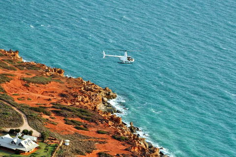 Half-Day Willie Creek Pearl Farm Tour With Helicopter Flight - Accommodation ACT 4