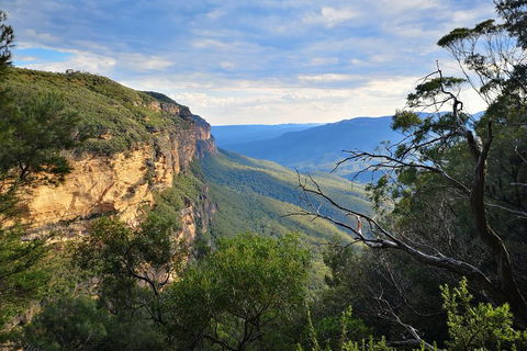 Sunset Blue Mountains Wilderness & Wildlife Tour Without The Crowds - Accommodation ACT 2
