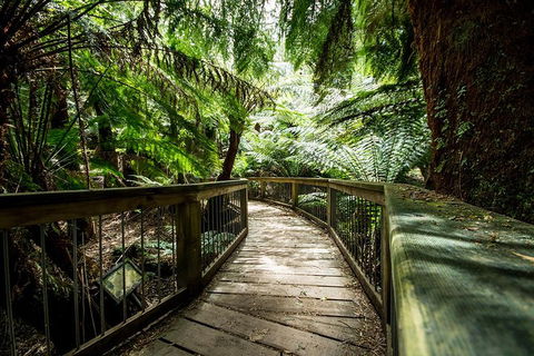 Melbourne To Adelaide South East Coast 3 Day Overland Tour - Accommodation ACT 1
