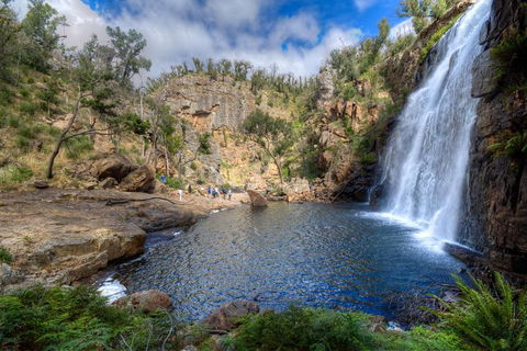 Melbourne To Adelaide South East Coast 3 Day Overland Tour - Accommodation ACT 4