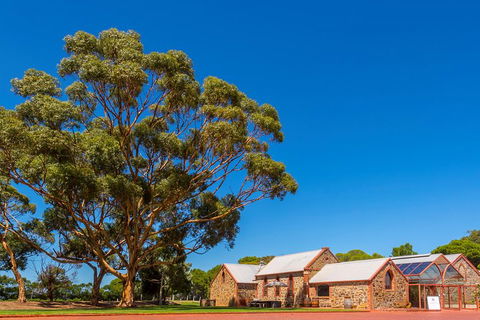 McLaren Vale And Glenelg Wine Tasting And Sightseeing (Half-day Afternoon) - Accommodation ACT 5