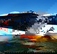 Paradise Jet Boating and Aquaduck Combo - Accommodation ACT