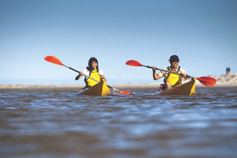 Kangaroo Island Self-Guided Kayaking On The Harriet River - Accommodation ACT 2