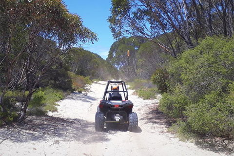 Kangaroo Island Quad Bike (ATV) Tours - Accommodation ACT 4