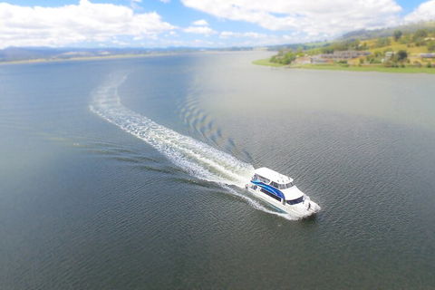 2.5 Hour Afternoon Discovery Cruise Including Cataract Gorge Departs At 1: 30 Pm - Accommodation ACT 0