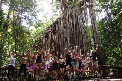 Atherton Tablelands Waterfalls Tour From Cairns - Accommodation ACT 5