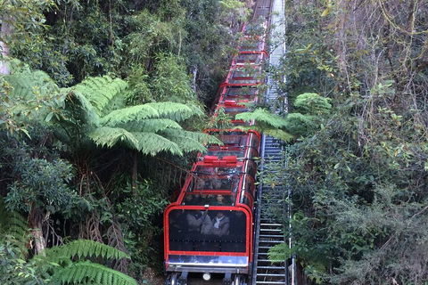 Blue Mountains Private Full-Day Tour From Sydney With Cruise - Accommodation ACT 5