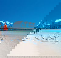 Margaret River and Geographe Bay Region Day Trip from Perth - Accommodation ACT