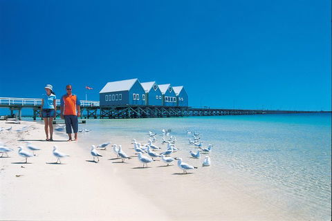 Margaret River And Geographe Bay Region Day Trip From Perth - Accommodation ACT 0