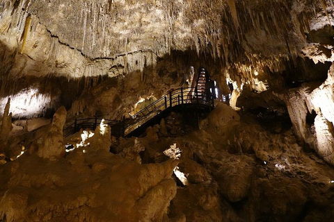 Ngilgi Cave Semi-guided Tour - Accommodation ACT 2