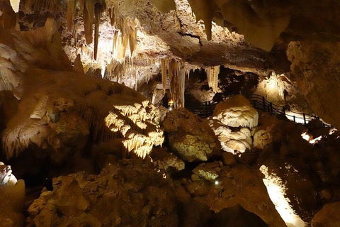 Ngilgi Cave Semi-guided Tour - Accommodation ACT 3