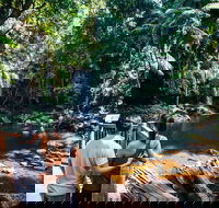 Aquaduck  Your choice of Gold Coast Rainforest Tour - Accommodation ACT