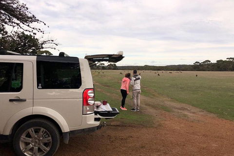 Kangaroo Island 4WD Tour - Flinders Chase - Accommodation ACT 3