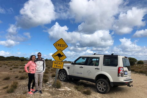 Kangaroo Island 4WD Tour - Best Of KI - Accommodation ACT 5