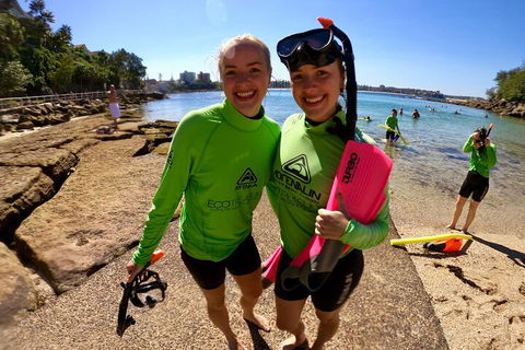 Manly Snorkel Trip And Nature Walk With Local Guide - Accommodation ACT 1