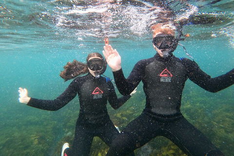 Manly Snorkel Trip And Nature Walk With Local Guide - Accommodation ACT 3