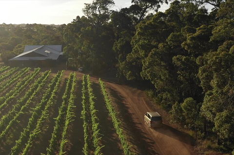 The All About Margaret River Tour: Wine, Coffee, Lunch And Forest - Accommodation ACT 1