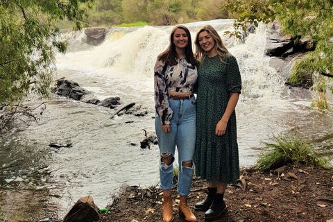 The All About Margaret River Tour: Wine, Coffee, Lunch And Forest - Accommodation ACT 2