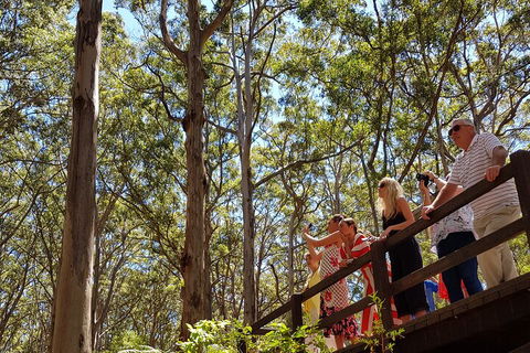 The All About Margaret River Tour: Wine, Coffee, Lunch And Forest - Accommodation ACT 3