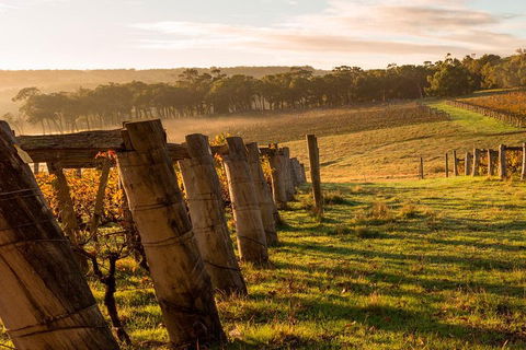 The All About Margaret River Tour: Wine, Coffee, Lunch And Forest - Accommodation ACT 5