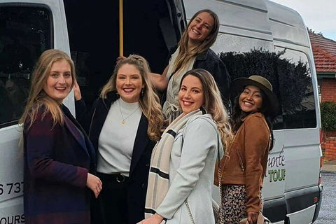 A Full Day Hunter Valley Wine Tasting Tour With Lunch And Tasting Fee's Included - Accommodation ACT 2