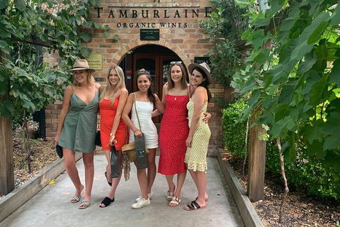 A Full Day Hunter Valley Wine Tasting Tour With Lunch And Tasting Fee's Included - Accommodation ACT 4