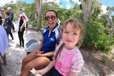 Whitehaven Beach Day Tour With Snorkel In Whitsundays Island - Accommodation ACT 1