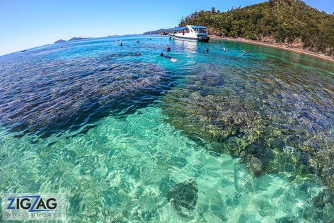 Whitehaven Beach Day Tour With Snorkel In Whitsundays Island - Accommodation ACT 5