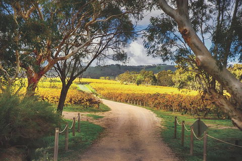 McLaren Vale Winery Small Group Tour With Wine Tasting And Lunch - Accommodation ACT 1